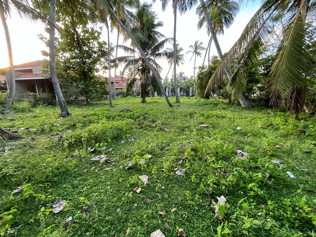 Land For Sale In Wennappuwa Creating Real Value For Your Property