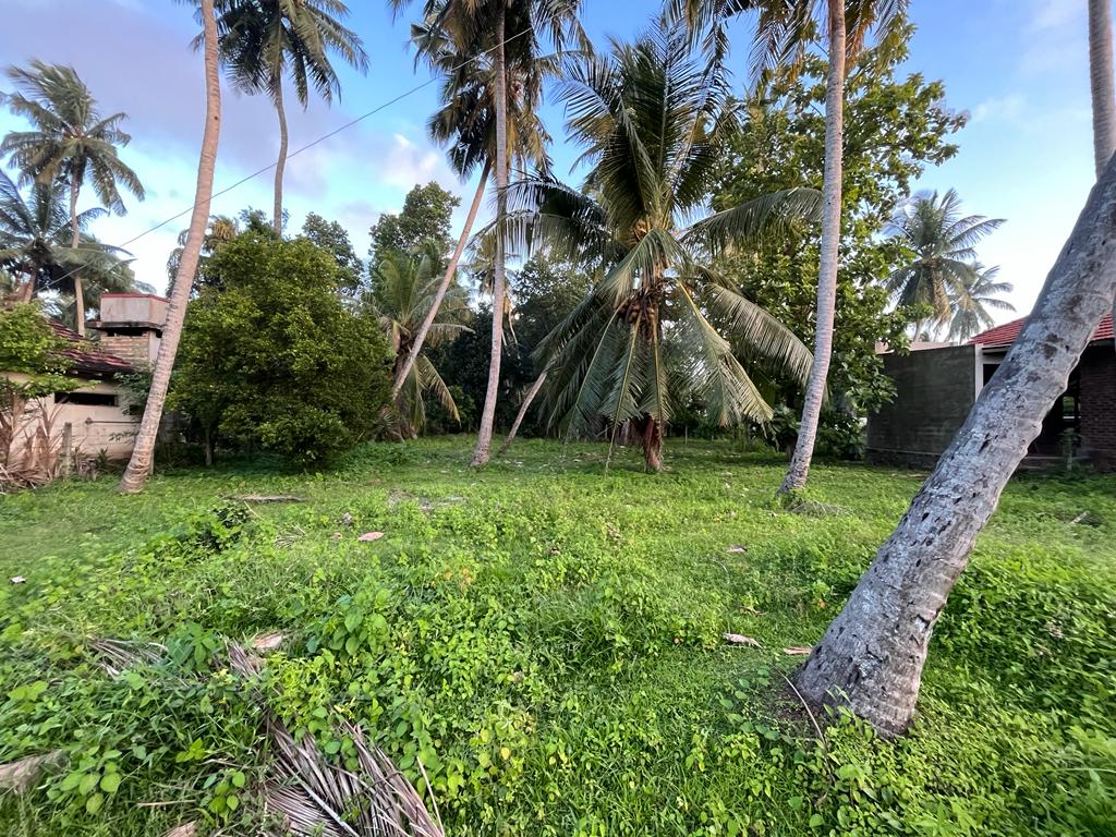 Land For Sale In Wennappuwa Creating Real Value For Your Property