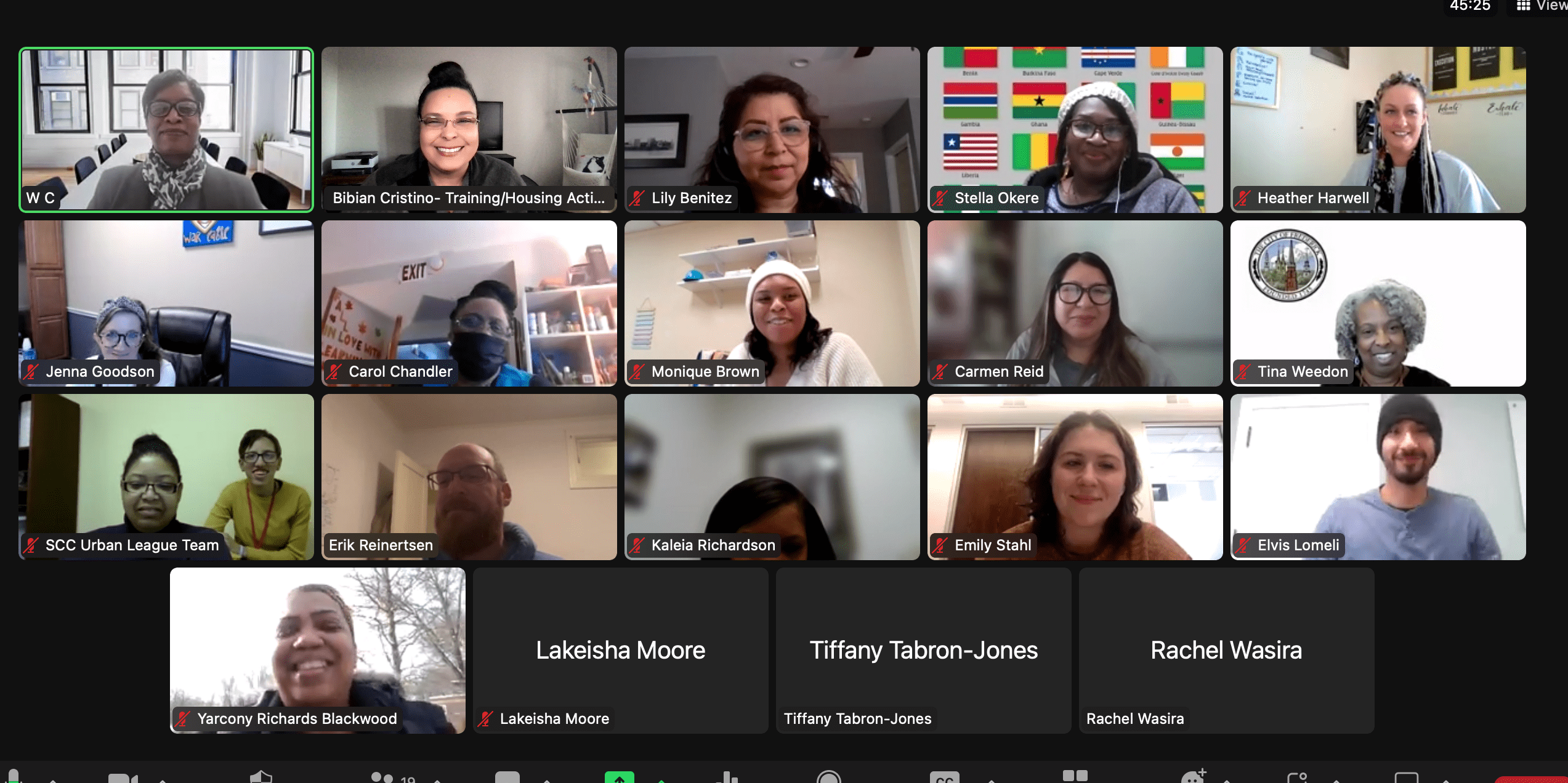 a Housing Counselor Housing Action Illinois