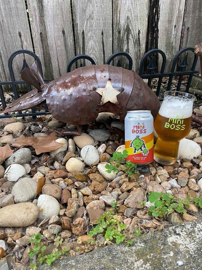 Top 5 Houston area IPAs to drink on IPADay Houston Beer Guide