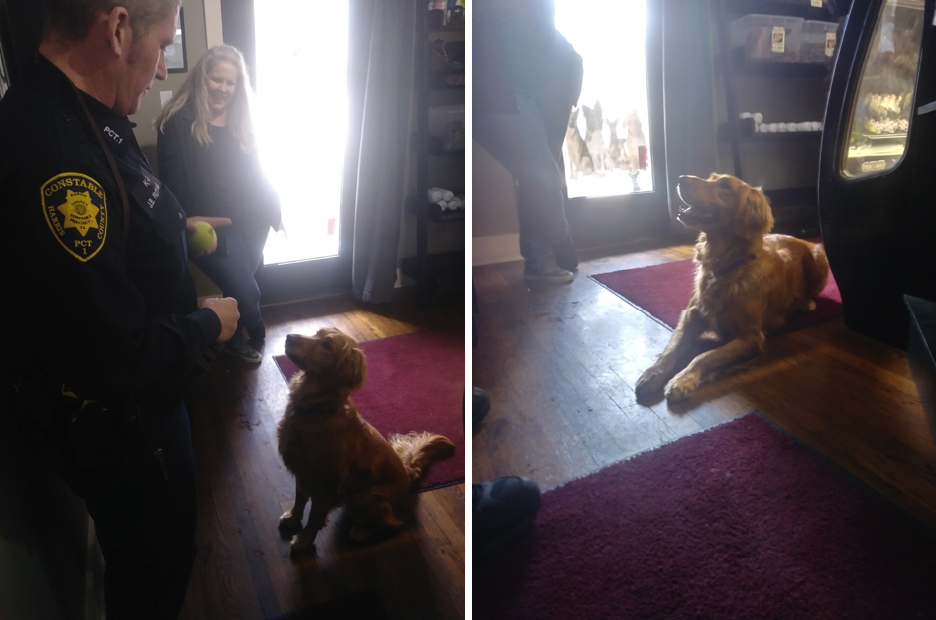 A Valentine Visit from K9 Deputy Violet Houston's