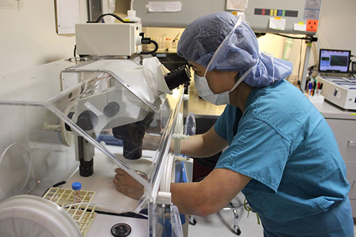 IVF Houston Best IVF Clinic in Houston TX Most Affordable Treatment