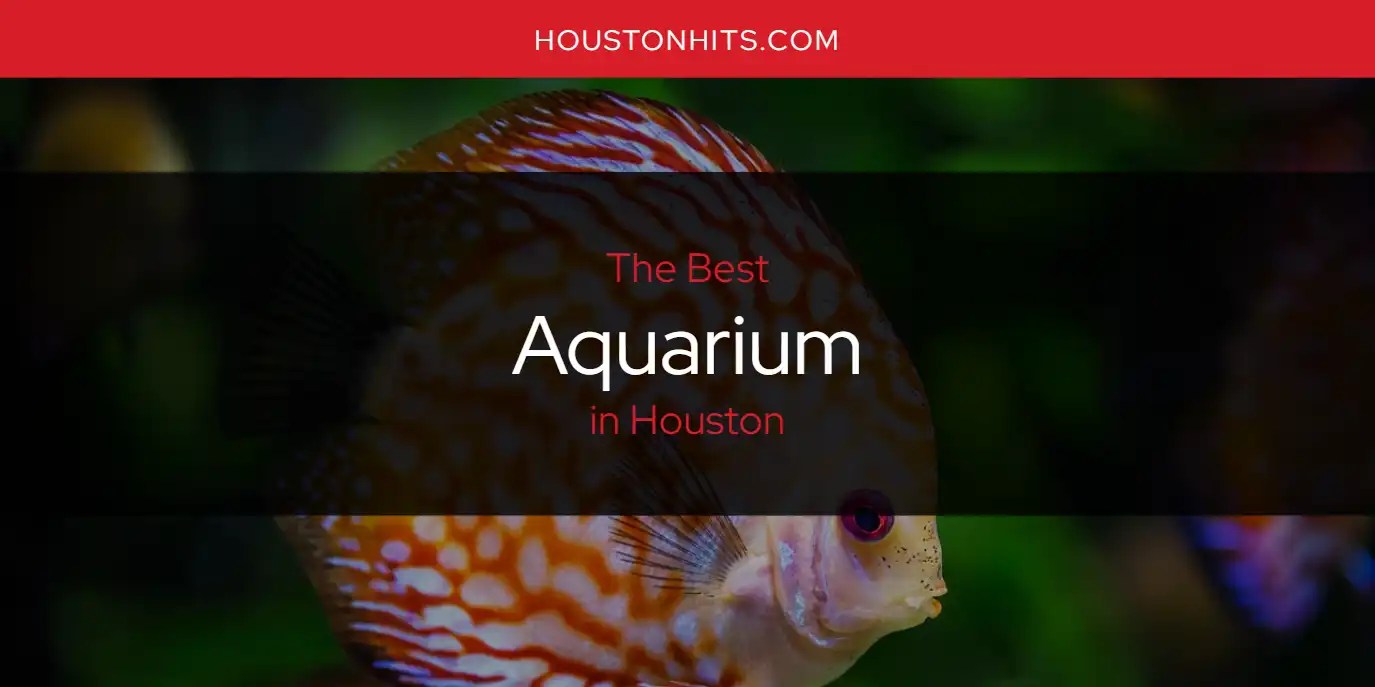 The Absolute Best Aquarium in Houston [Updated 2024]