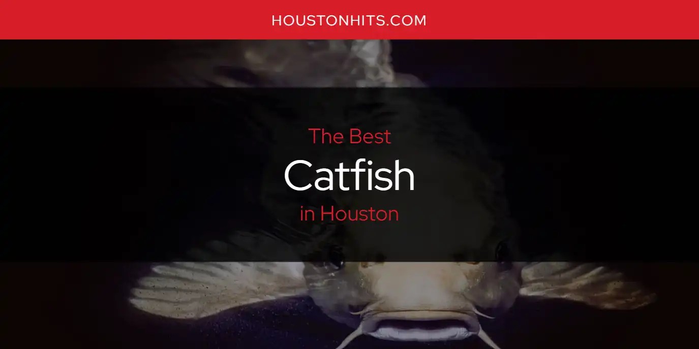 The Absolute Best Catfish in Houston [Updated 2024]