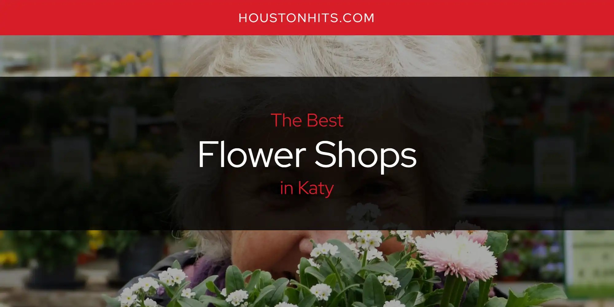 The Absolute Best Flower Shops in Katy [Updated 2024] Houston Hits
