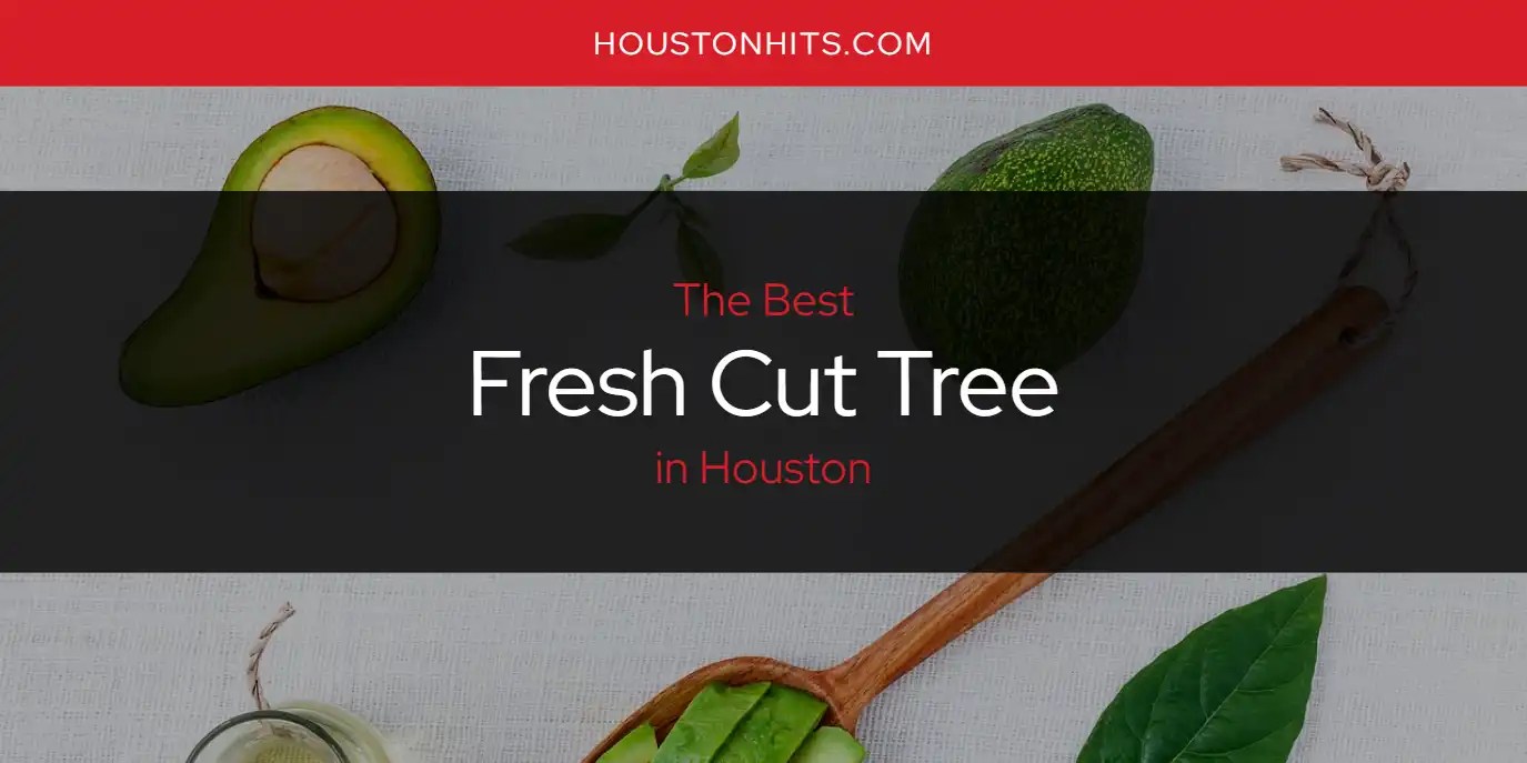 The Absolute Best Fresh Cut Tree in Houston [Updated 2024] Houston Hits