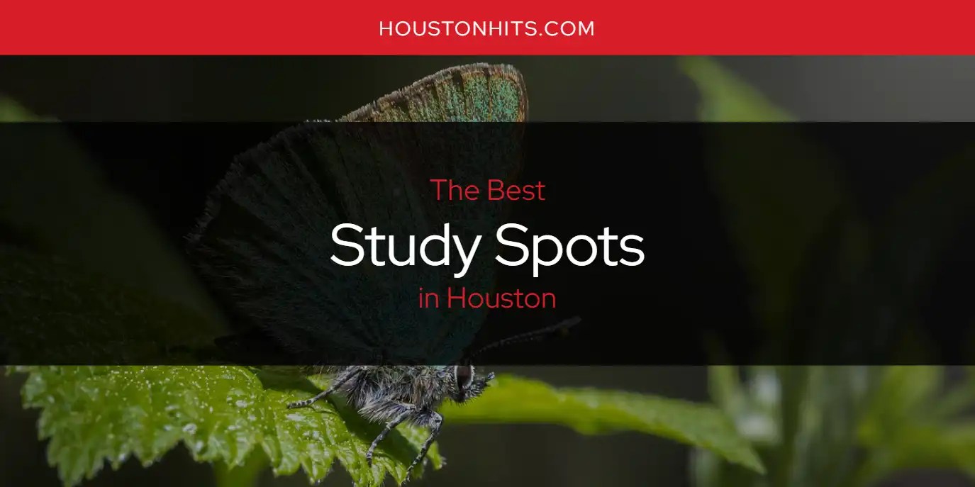 The Absolute Best Study Spots in Houston [Updated 2024]