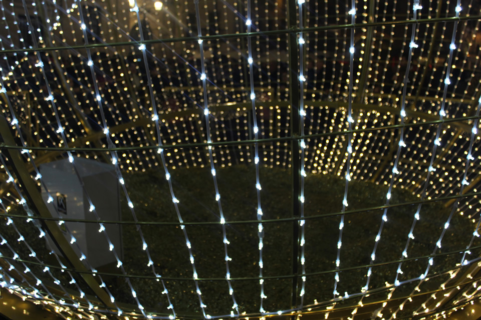 Christmas Light Installation Houston (8327261669)