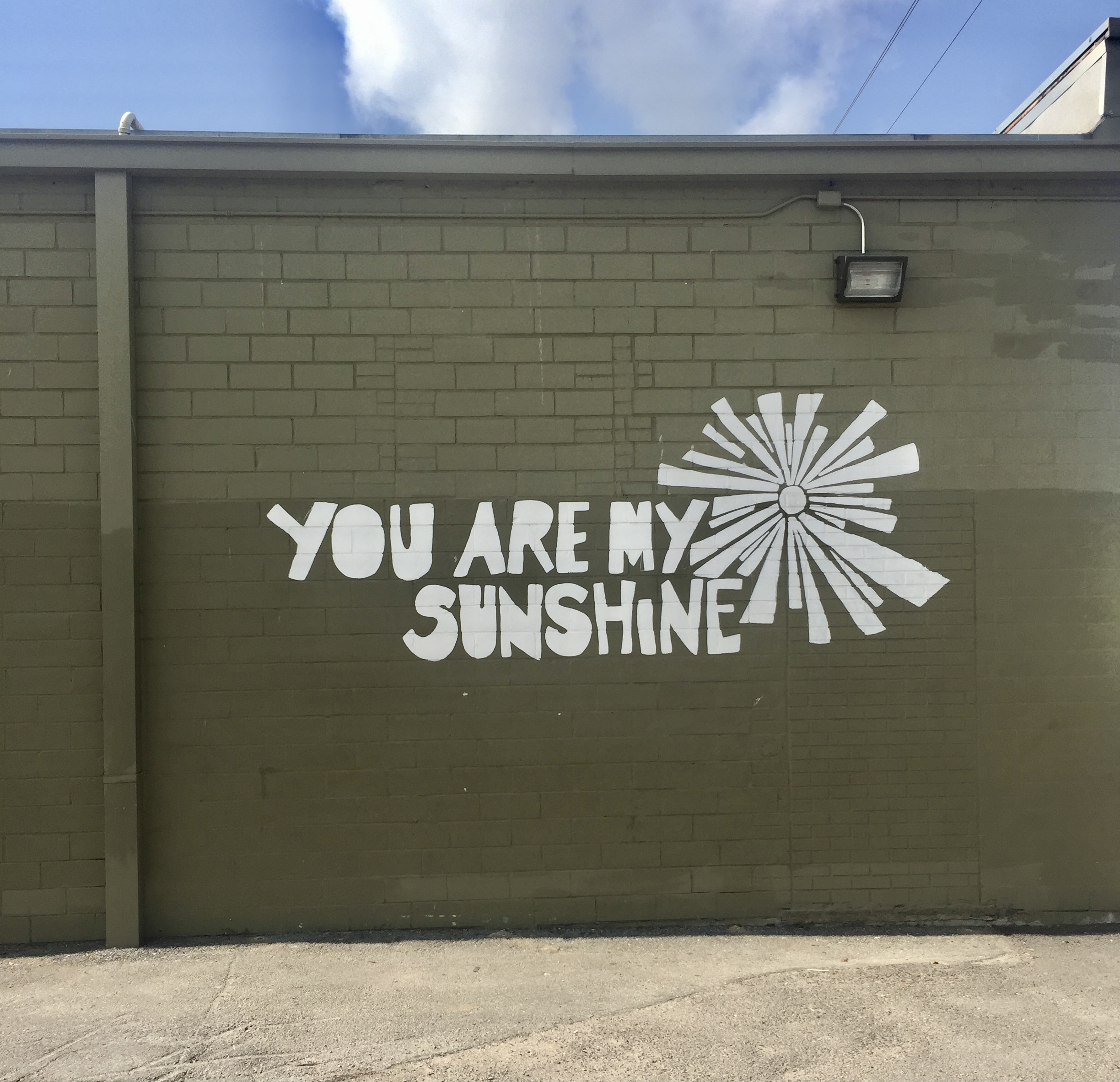 You are My Sunshine Houston Mural Map