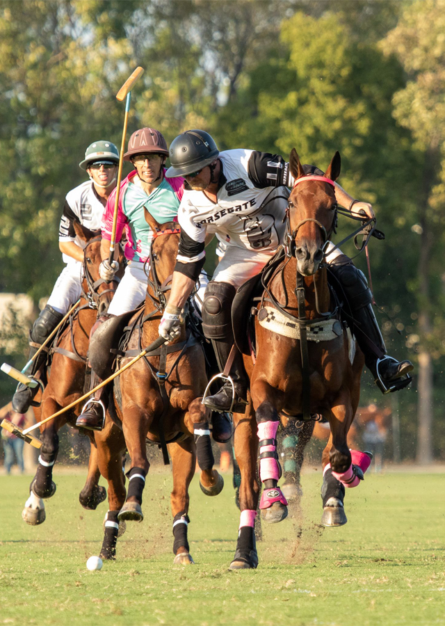 Houston Polo Club The Largest Polo Club in the United States