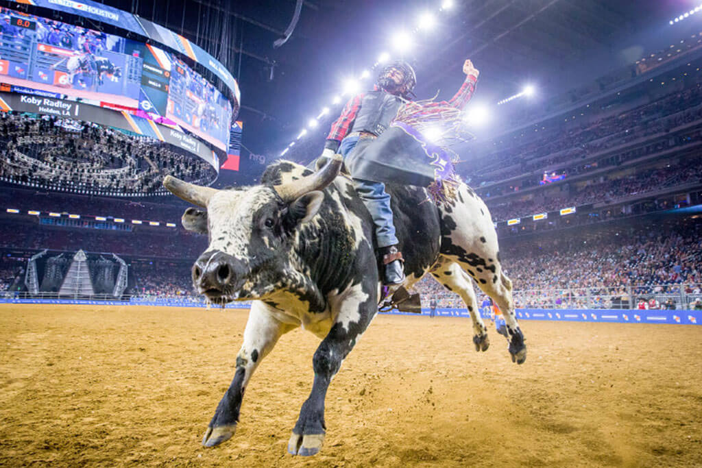 What Days Are the Houston Rodeo this Year? 2023 Rodeo Dates