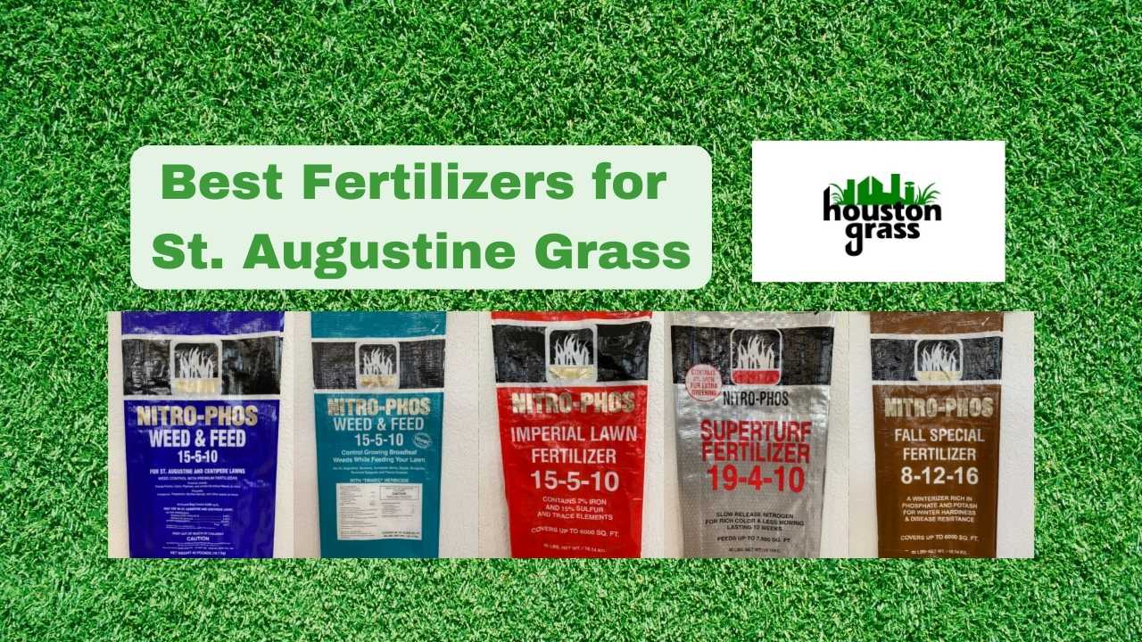 Best Fertilizer for St. Augustine Grass Katy Houston Pearland