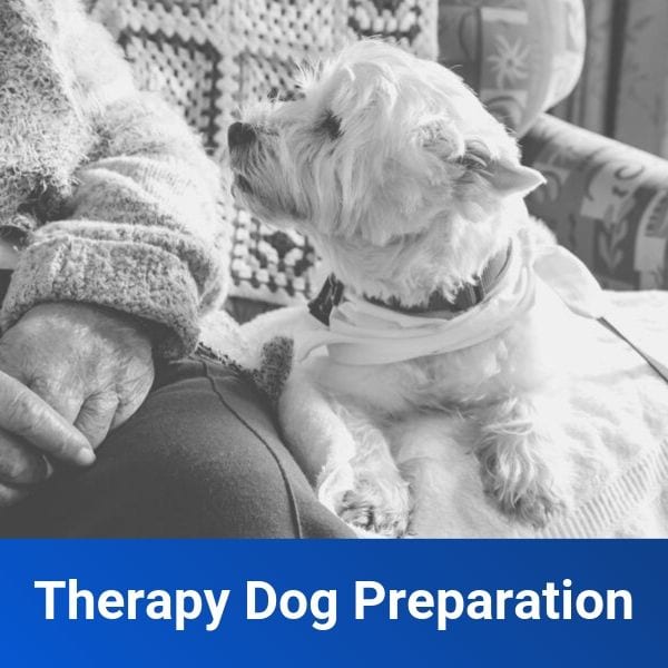 Therapy Dog Preparation Off Leash K9 Training of Houston TX