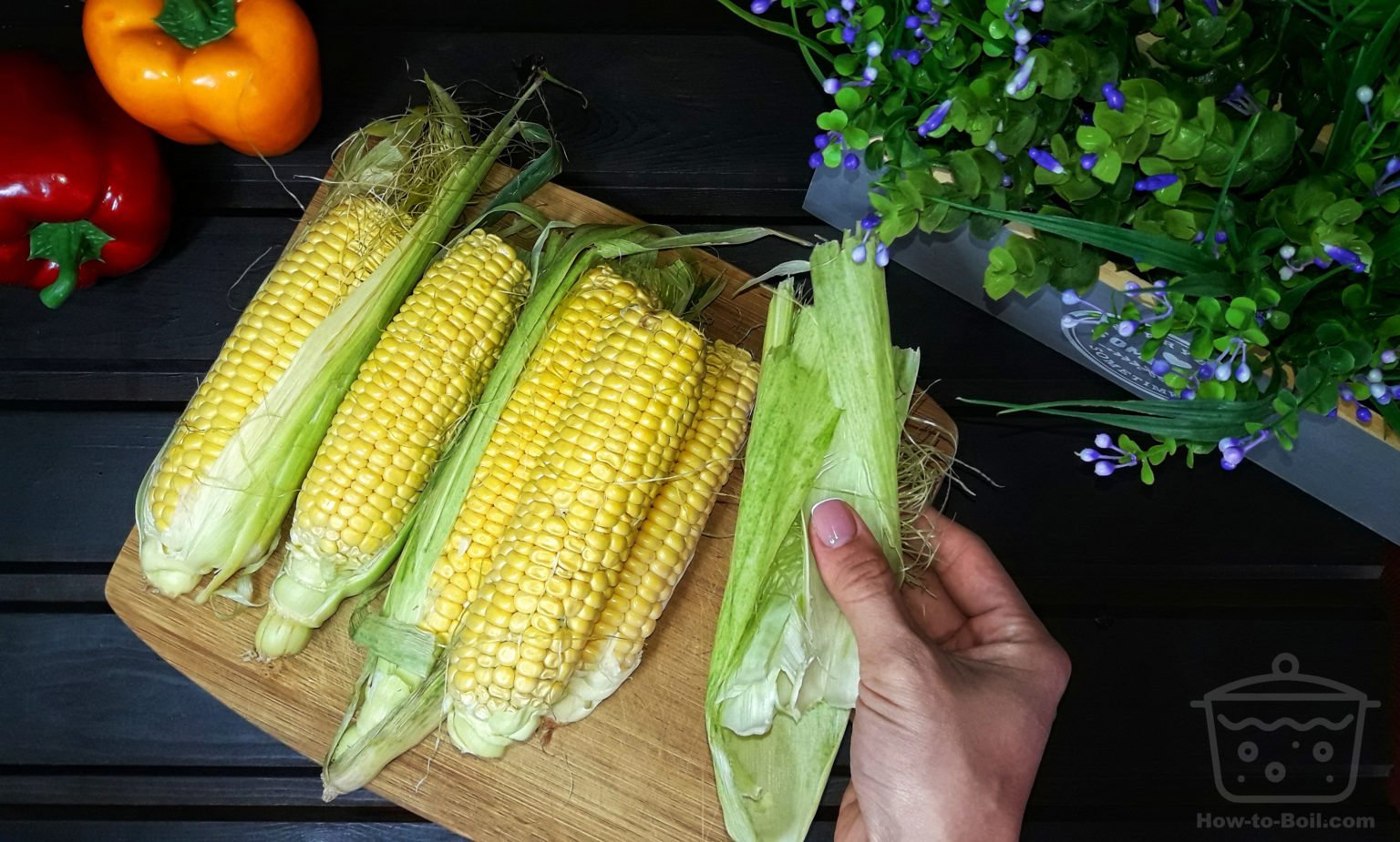 How to Boil Corn on the Cob 10 Easy Steps