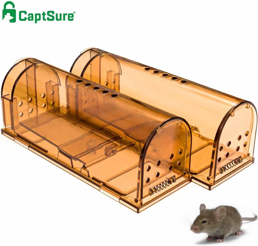 3 of the Best Humane Mouse Traps Reviews of the Top Live Catch Traps