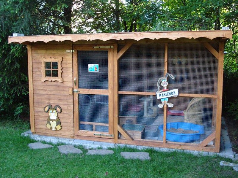 Rabbit Run Ideas Outdoor How to rabbit