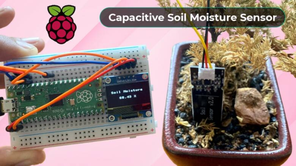 Capacitive Soil Moisture Sensor with Raspberry Pi Pico