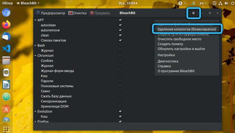 Using the BleachBit utility