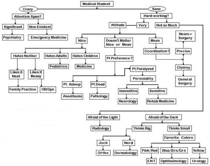 How Should I Pick a Specialty?