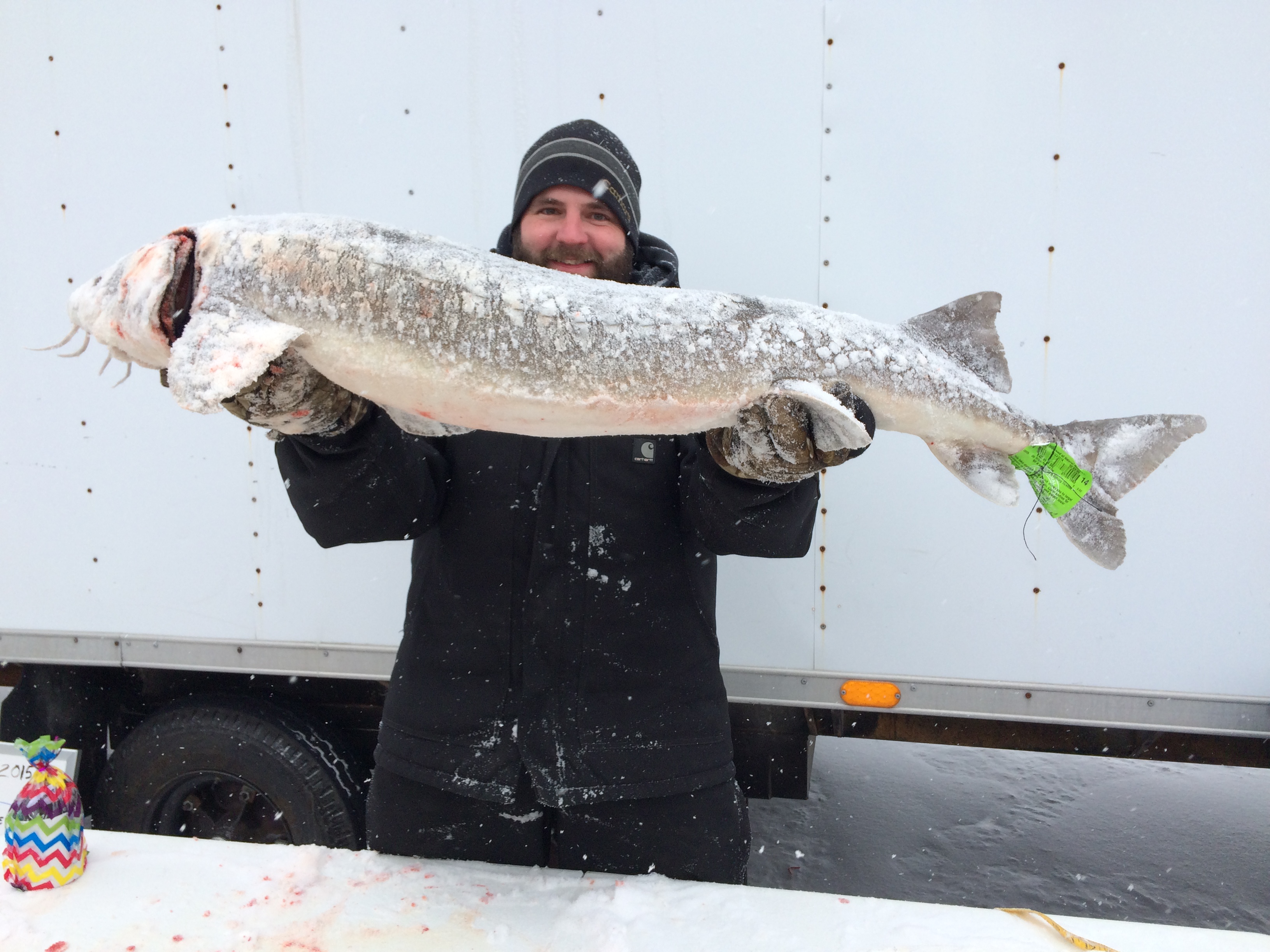 Black Lake sturgeon season ends in six hours The Outdoor Journal