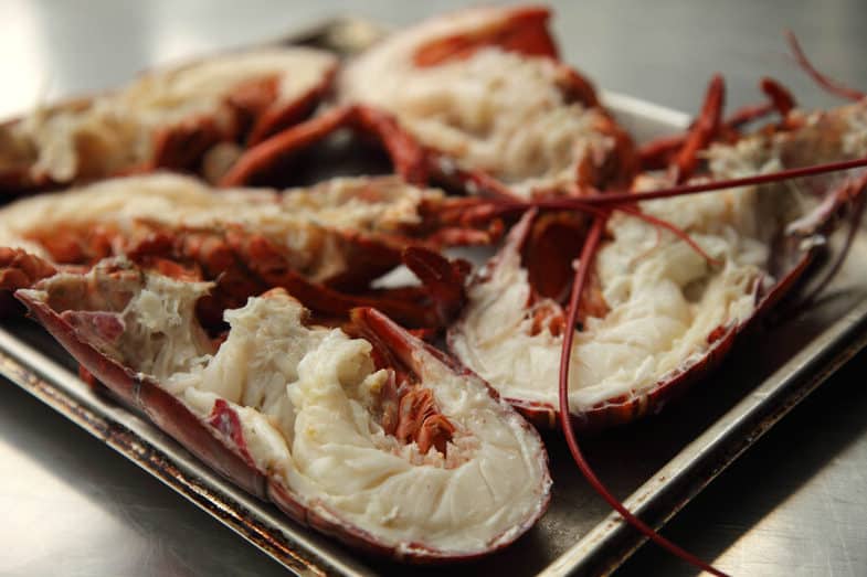 How to Cook Lobster Claws? How Long Does It Take? HowChimp