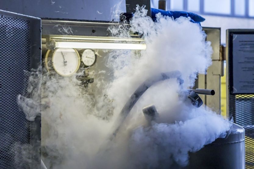 Liquid Nitrogen Price [How Much Does Liquid Nitrogen Cost?] HowChimp