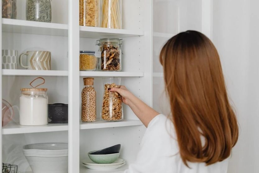 Tiny White Bugs in the Kitchen [What Are They and How to Get Rid of