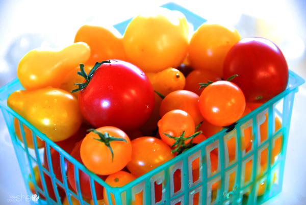 You Say TomatoI Say TomAto