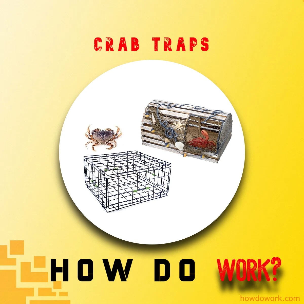 Crab Trap Mechanics Catching Crustaceans Demystified