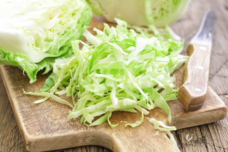 How to Shred Cabbage in A Food Processor HowdyKitchen