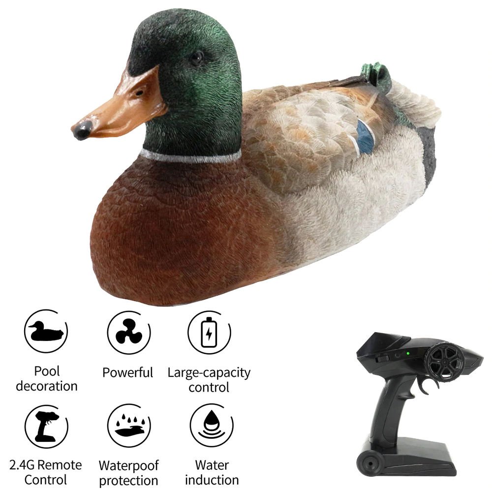 Radio Control RC Duck Howes Models