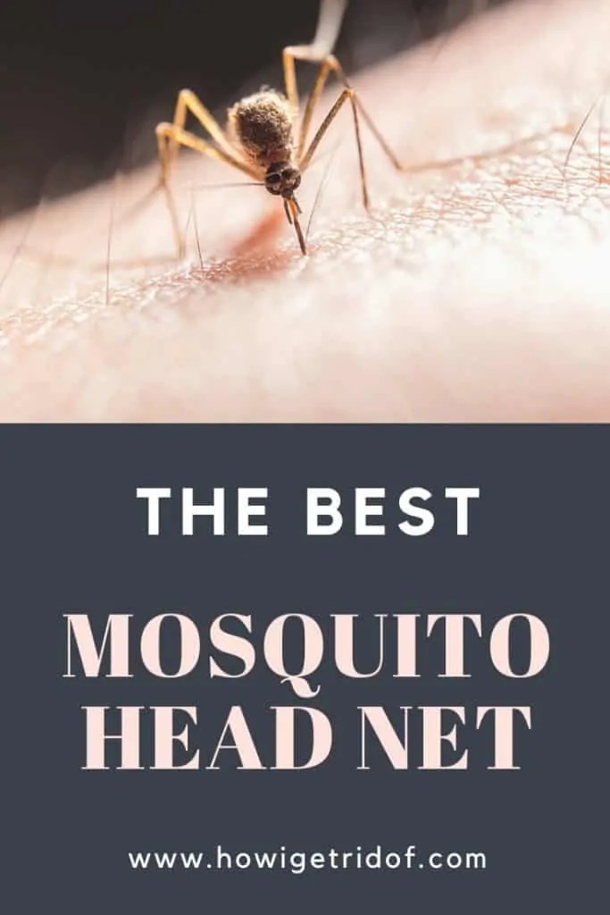 The Best Mosquito Head Net How I Get Rid Of