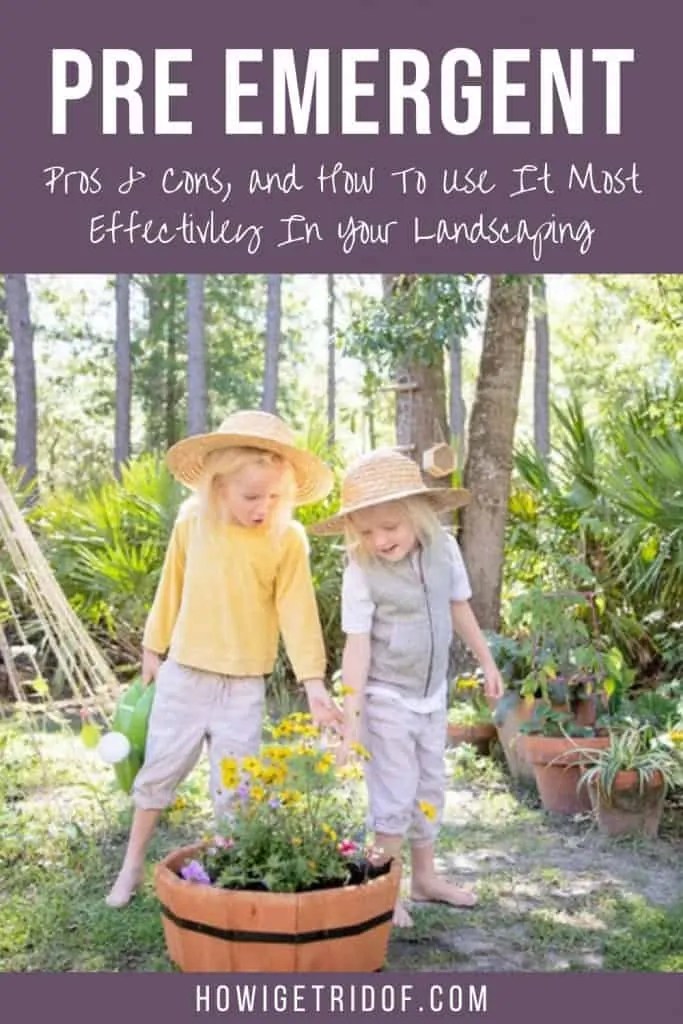 Pre Emergent Pros, Cons, and How To Use It Most Effectively In Your