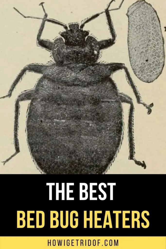 Best Bed Bug Heaters How I Get Rid Of