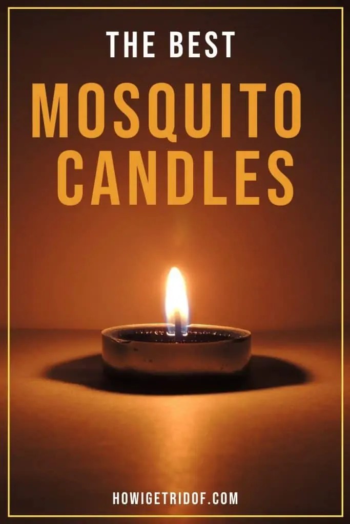 The Best Mosquito Candles How I Get Rid Of