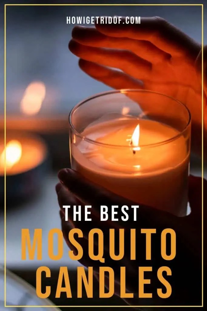 The Best Mosquito Candles How I Get Rid Of