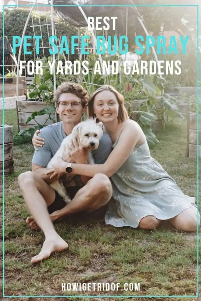 Best Pet Safe Bug Spray For Yards and Gardens How I Get Rid Of