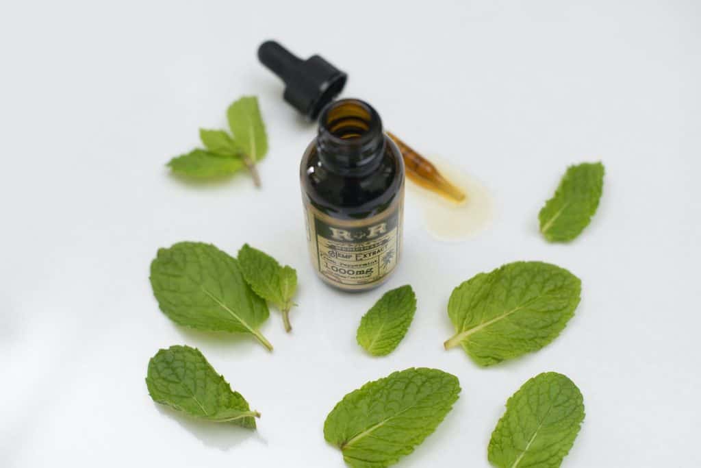 5 Ways To Use Peppermint Oil For Rats (Plus Other Natural Tips And