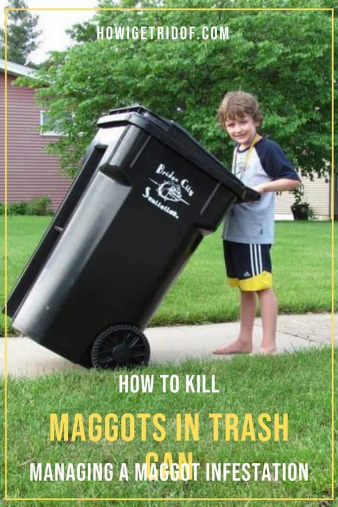 What Kills Trash Can Maggots at Fred Oliver blog