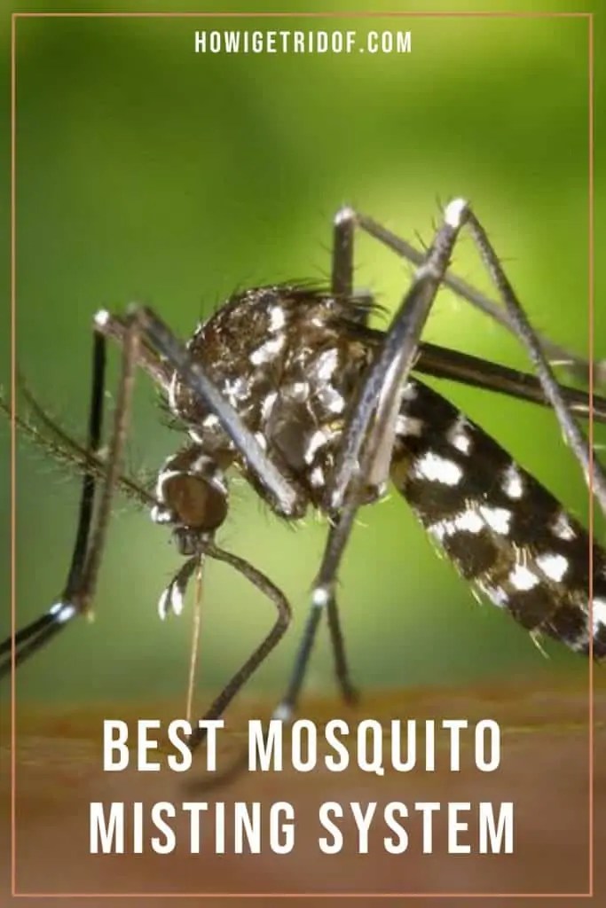 Best Mosquito Misting System How I Get Rid Of
