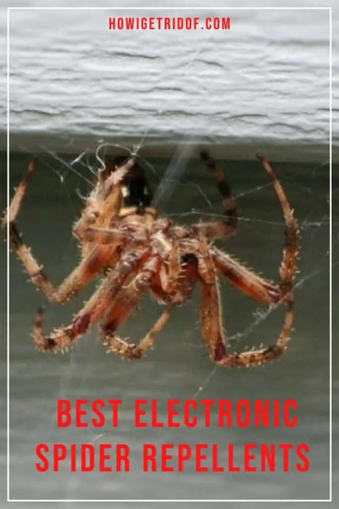 Best Electronic Spider Repellents How I Get Rid Of