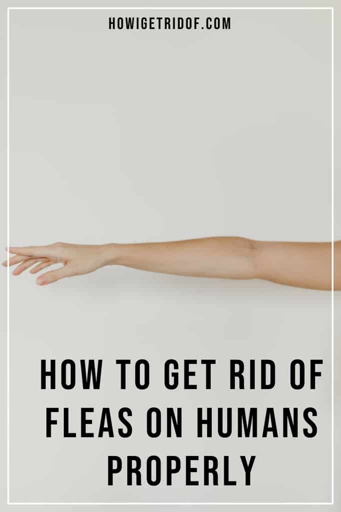 How To Get Rid Of Fleas On Humans Properly How I Get Rid Of