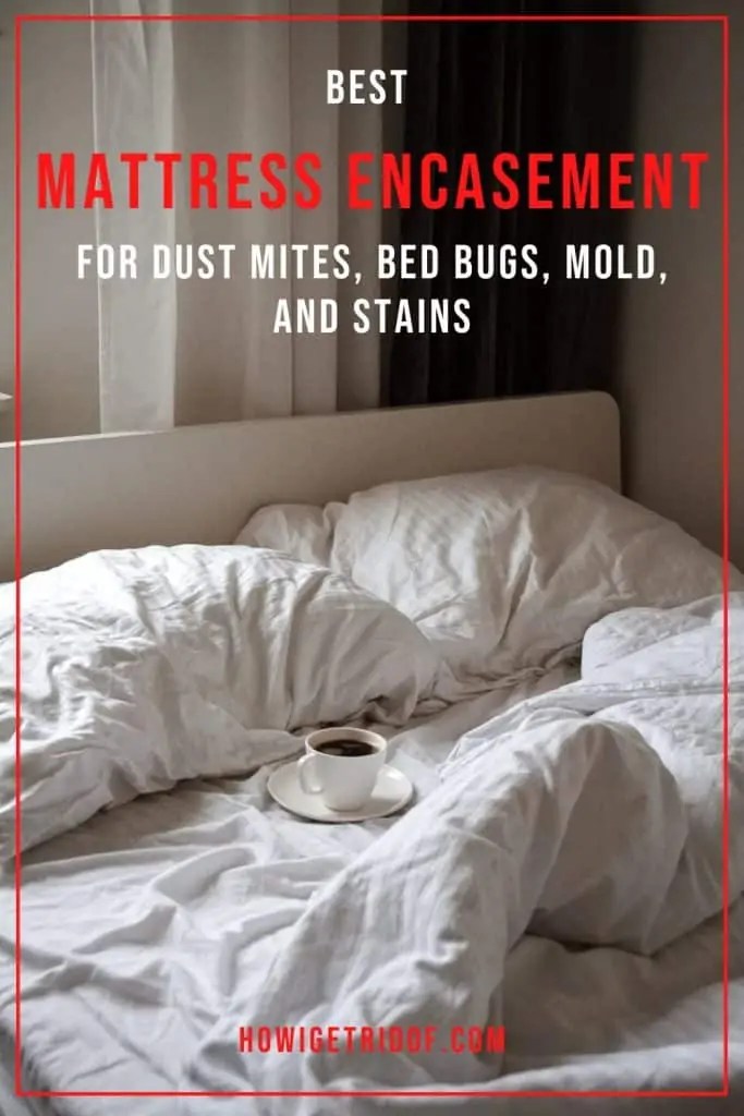 Best Mattress Encasement For Dust Mites, Bed Bugs, Mold, and Stains