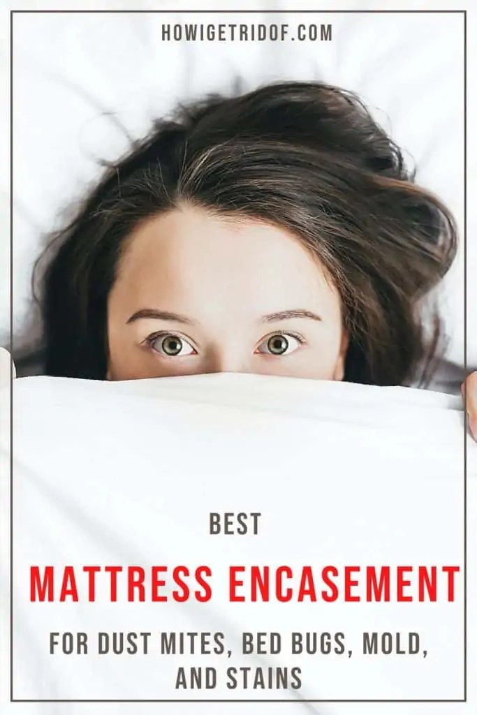 Best Mattress Encasement For Dust Mites, Bed Bugs, Mold, and Stains