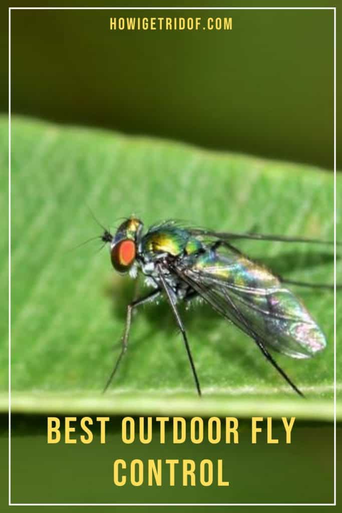 Best Outdoor Fly Control How I Get Rid Of