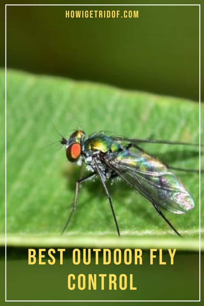Best Outdoor Fly Control How I Get Rid Of