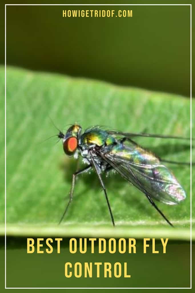 Best Outdoor Fly Control How I Get Rid Of