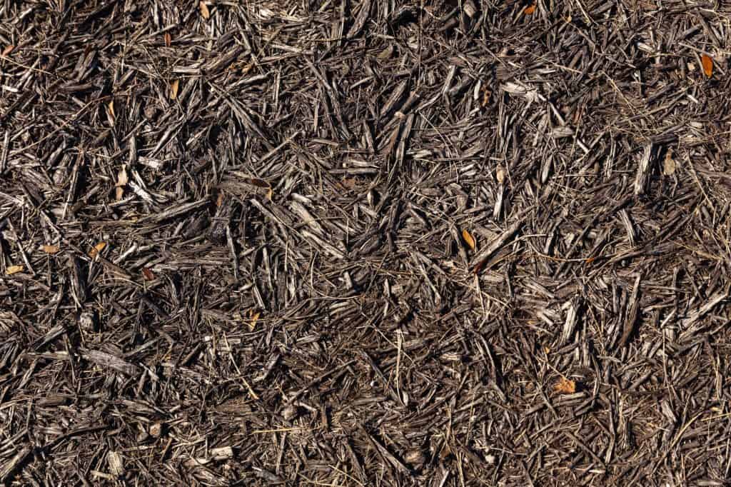 How To Get Rid Of Termites In Mulch How I Get Rid Of