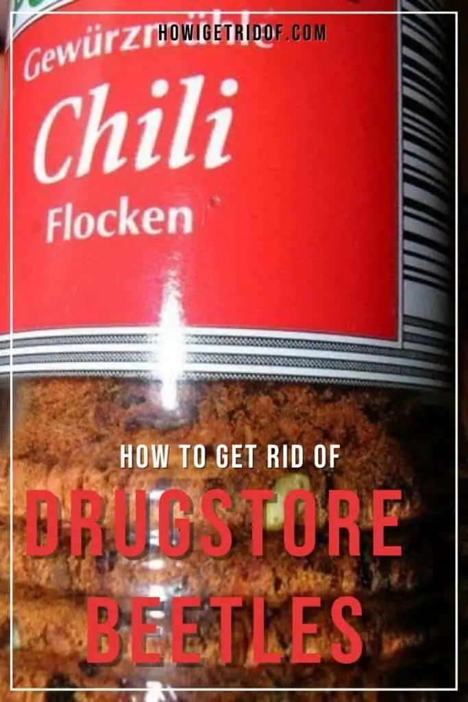 How To Get Rid Of Drugstore Beetles How I Get Rid Of