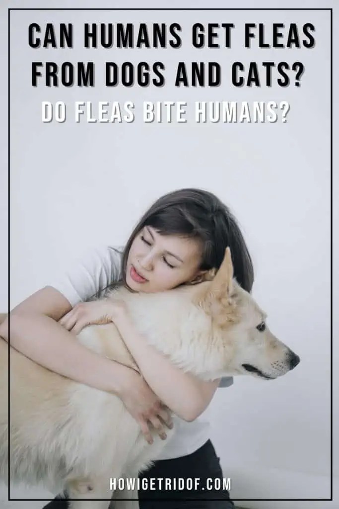 Can Humans Get Fleas from Dogs and Cats? Do Fleas Bite Humans? How I
